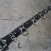 Ape Leather Plus Size 5 Ring Bondage Belt