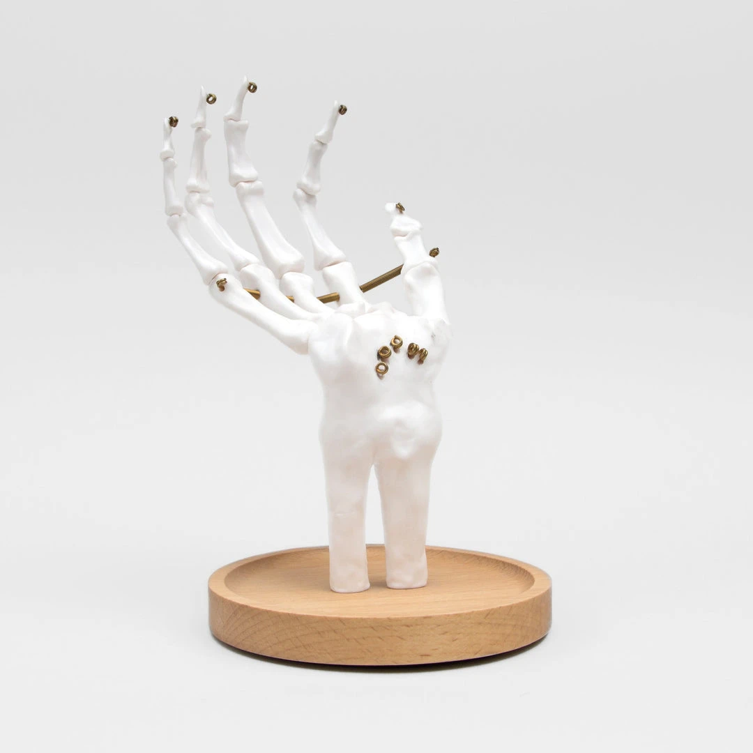 Suk UK Skeleton Jewelry Tidy Housewares 3 Suk UK Skeleton Jewelry Tidy Housewares