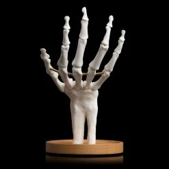 Suk UK Skeleton Jewelry Tidy Housewares 13 Suk UK Skeleton Jewelry Tidy Housewares