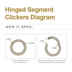 BodyVibe Jewelry Surgical Steel Basic Hinged Segment Ring - 18g 3/8" 7 BodyVibe Jewelry Surgical Steel Basic Hinged Segment Ring - 18g 3/8