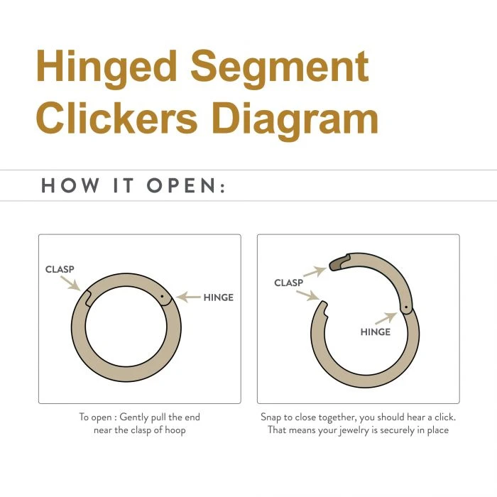 BodyVibe Jewelry Surgical Steel Basic Hinged Segment Ring - 18g 3/8" 5 BodyVibe Jewelry Surgical Steel Basic Hinged Segment Ring - 18g 3/8"