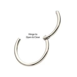 BodyVibe Jewelry Surgical Steel Basic Hinged Segment Ring - 18g 3/8"